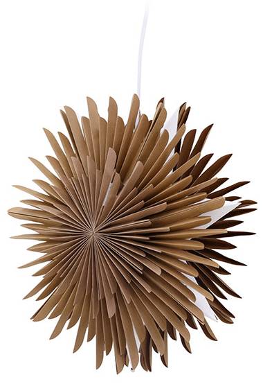 Weihnachtsstern Slen kaufen | home24