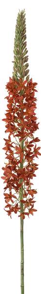 Kunstblume 55896 Orange - Kunststoff - 1 x 1 x 1 cm