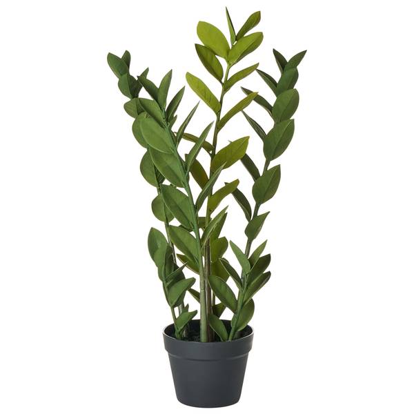 Kunstpflanze ZAMIIFOLIA Schwarz - Grün - Kunststoff - 33 x 76 x 33 cm