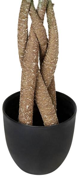 Kunstpflanze PACHIRA TREE Schwarz - Grün - Kunststoff - 45 x 120 x 45 cm