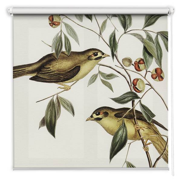 Innenrollo Vögel auf dem Baum 150 x 240 x 1 cm