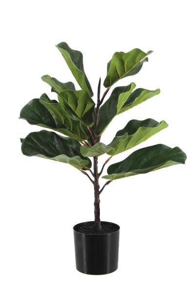 Künstlicher Ficus Lyrata Luan Grün - Kunststoff - 48 x 60 x 48 cm