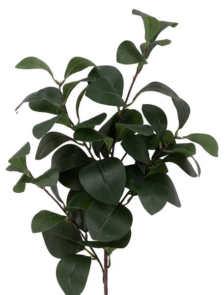 Kunstblume 55781 Grün - Kunststoff - 1 x 90 x 90 cm