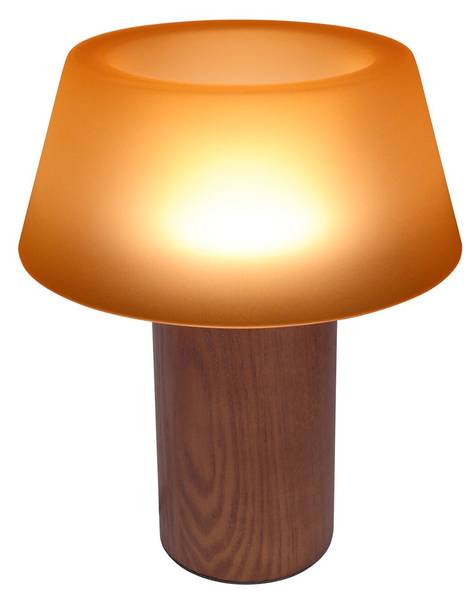 Tischlampe VANCOUVER Braun - Holz teilmassiv - 28 x 34 x 28 cm