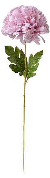 Kunstblume 85287 Violett - Kunststoff - 15 x 80 x 15 cm