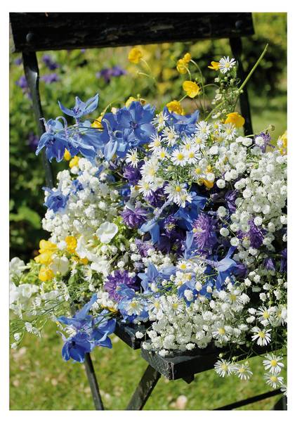 Leinwandbild Blumenstuhl Baumwollstoff - 50 x 70 x 1 cm