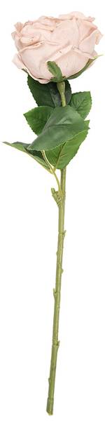Kunstblume Rose 53257 Beige - Kunststoff - 9 x 43 x 9 cm