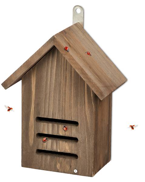 Marienkäferhaus aus Tannenholz braun Braun - Holzwerkstoff - 17 x 22 x 10 cm
