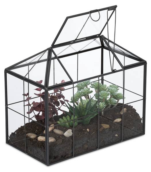 Modernes Pflanzenterrarium Glas Hausform Schwarz - Glas - Metall - 25 x 20 x 14 cm
