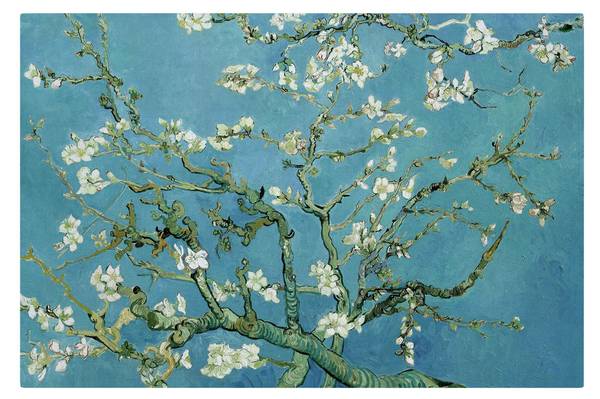 Akustikbild Van Gogh - Mandelblüte 150 x 100 cm