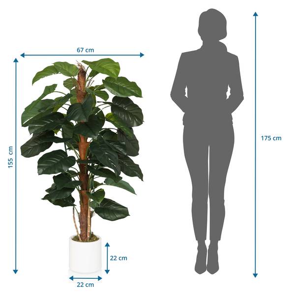 Kunstpflanze EPIPREMNUM Grün - Kunststoff - 67 x 155 x 60 cm