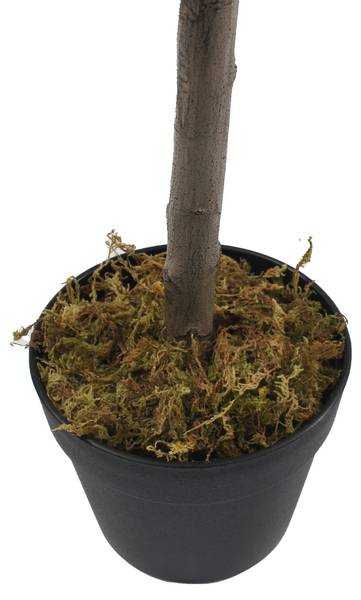 Plante Artificielle Faux Olivier RE7046 35 x 120 x 35 cm