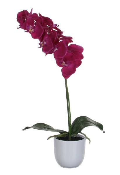 Plante artificielle Phalaenopsis Mauve - Textile - 16 x 60 x 16 cm