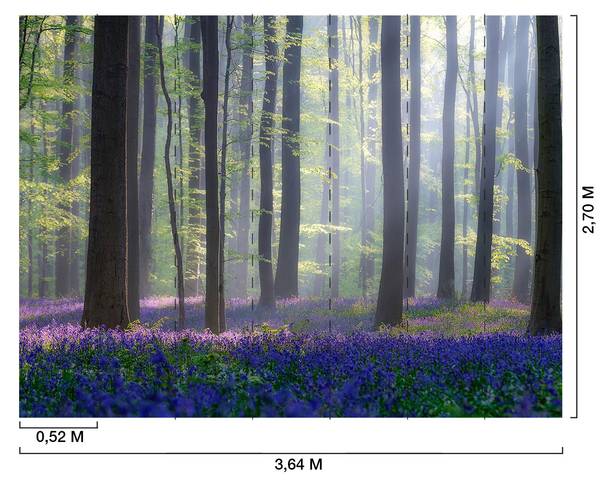 Panorama-Tapetehyazinthen und unterholz Grün - Papier - 364 x 270 x 1890 cm