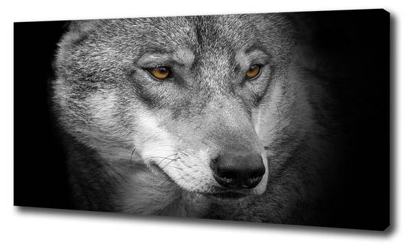 Wandbild Wolf 100 x 50 cm