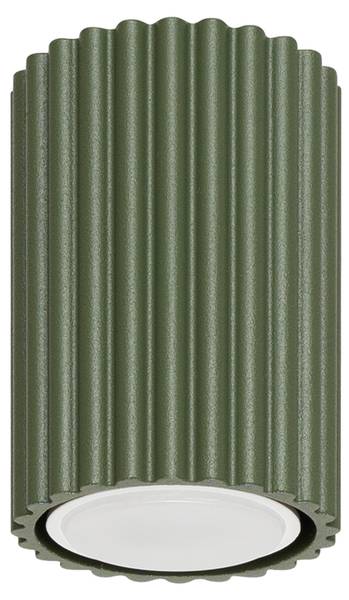 Deckenleuchte Karbon Grün