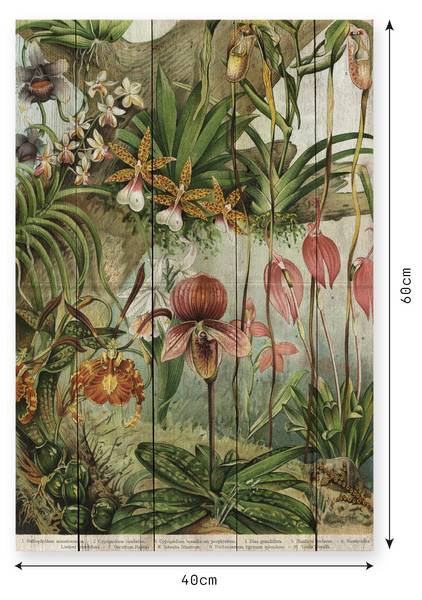 Holzpaneel Blumendschungel Beige - Massivholz - 40 x 60 x 40 cm