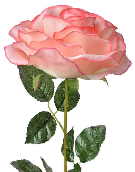 Kunstblume Rose 92876 Pink - Kunststoff - 19 x 75 x 19 cm
