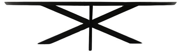 Esstisch BRANDY Schwarz - Massivholz - 210 x 76 x 100 cm