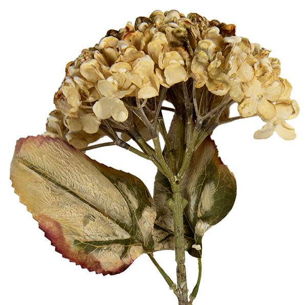 Kunstblume 51442 Beige - Kunststoff - 15 x 47 x 15 cm
