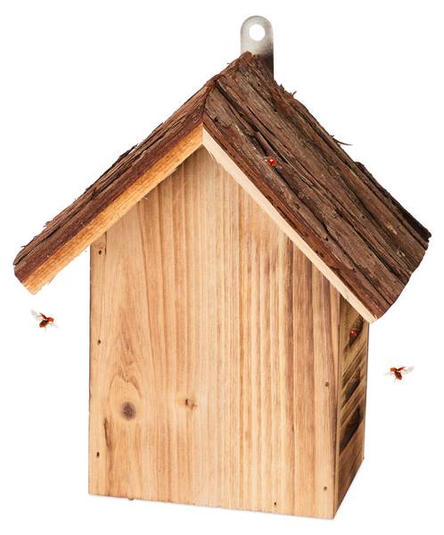 Marienkäferhaus aus Holz Braun - Holzwerkstoff - 19 x 23 x 13 cm