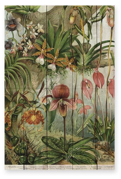 Holzpaneel Blumendschungel Beige - Massivholz - 40 x 60 x 40 cm