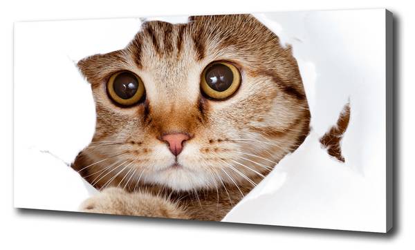 Wandbild Katze Beige - Mischgewebe - 100 x 50 x 4 cm