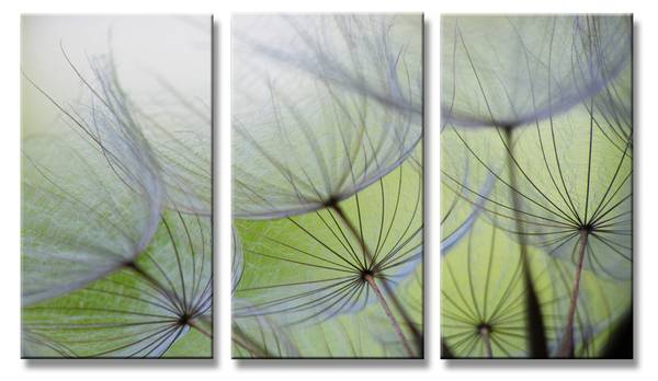 Leinwandbild 3-Tlg.  Pusteblume Textil - 160 x 90 x 2 cm