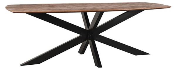 Esszimmertisch Zane Braun - Holzwerkstoff - 220 x 76 x 100 cm