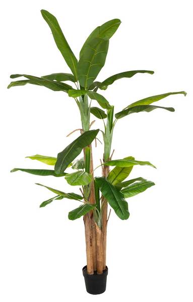 Künstlicher Bananenbaum BANANIER Grün - Stein - 140 x 285 x 140 cm