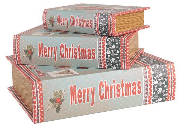Aufbewahrungsbox Bücher Nathalie 3er Set Blau - Holzwerkstoff - 22 x 7 x 27 cm