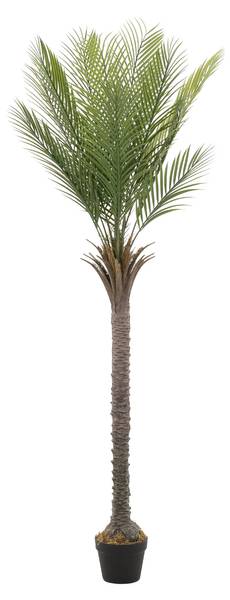 Kunstpflanze Palme MALLORCA kaufen
