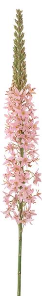 Kunstblume 88175 Pink - Kunststoff - 1 x 1 x 1 cm
