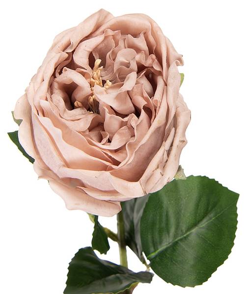 Kunstblume Rose 53257 Beige - Kunststoff - 9 x 43 x 9 cm