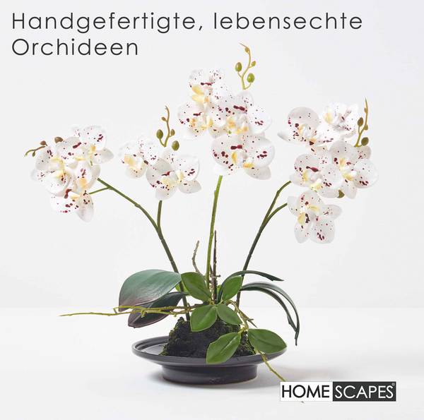 tisch mit stühle set + 4 - Taupe & Cremefarben Größe:mega - D 80cm