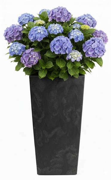 Blumentopf Flore 3er-Set Schwarz
