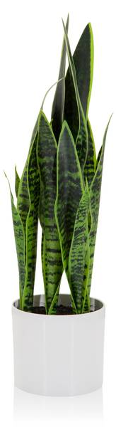Kunstpflanze SANSEVIERIA Grün - Kunststoff - 16 x 65 x 16 cm
