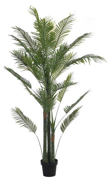 Kunstpflanze COCONUT Grün - Kunststoff - 80 x 190 x 80 cm