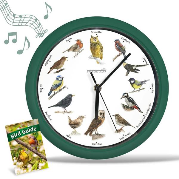 Birdsong Clock Wanduhr Grün - Kunststoff - 25 x 25 x 4 cm