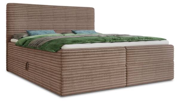 Boxspringbett Mollo Braun - Liegefläche Breite: 140 cm