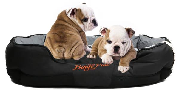 Orthopädisches Hundebett Hundesofa Große 80 x 22 x 105 cm