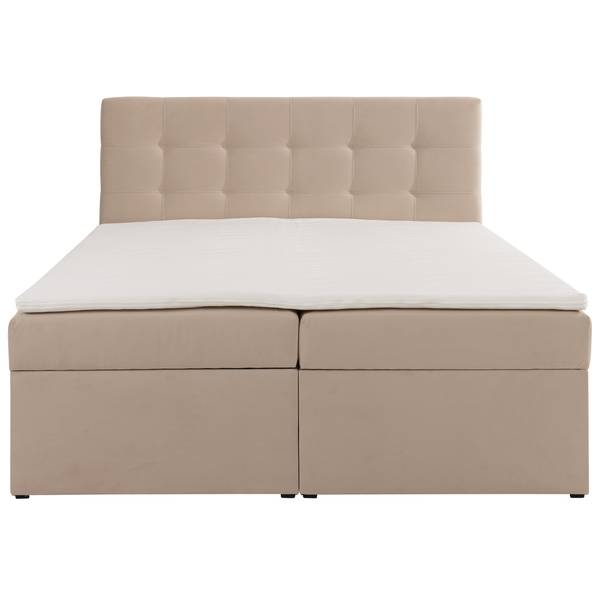 Boxspringbett RONNEO Samt - 180 x 110 x 212 cm