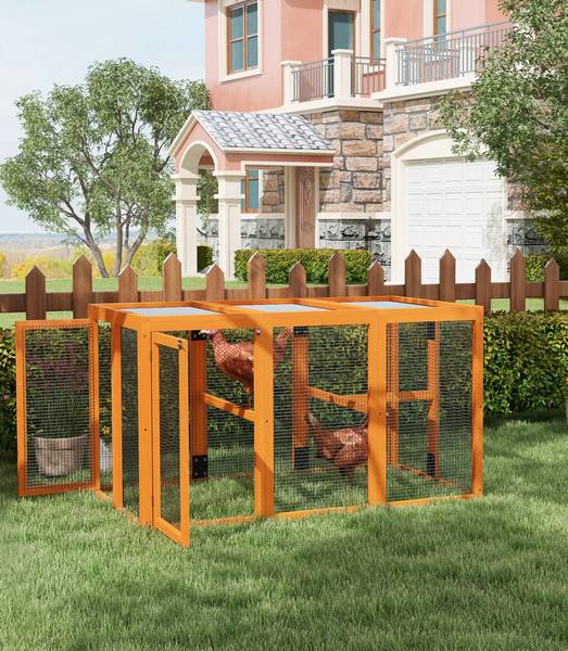 Hühnerstall D51-421V00OG Orange - Massivholz - 85 x 81 x 140 cm