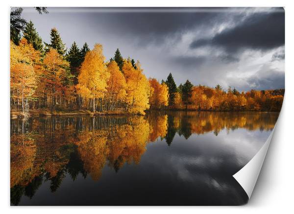 Fotobehang herfstbos aan het meer 150 x 105 cm