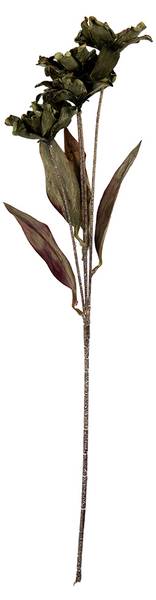 Kunstblume 93628 Grün - Kunststoff - 5 x 60 x 8 cm