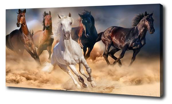 Wandbild Pferde im Galopp Braun - Mischgewebe - 100 x 50 x 4 cm