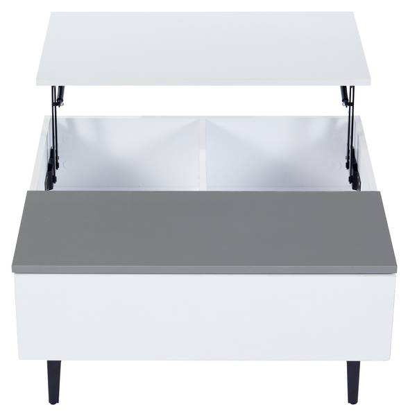 Couchtisch Ourea Ⅱ Grau - Weiß