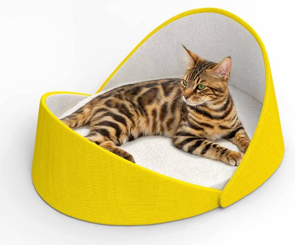 Katzenbett MUSCHEL Gelb