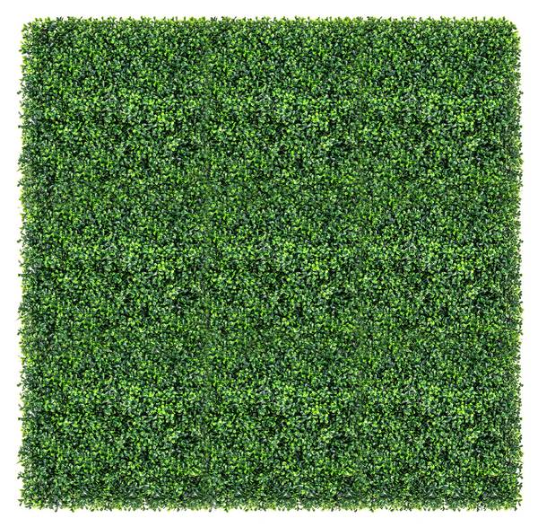 Kunstpflanzen TL32462DE Grün - Kunststoff - 50 x 6 x 50 cm