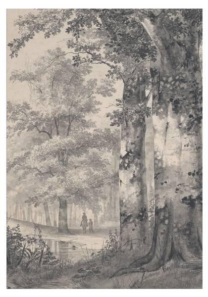 Leinwandbild Waldspaziergang Grau - Baumwollstoff - 50 x 70 x 1 cm
